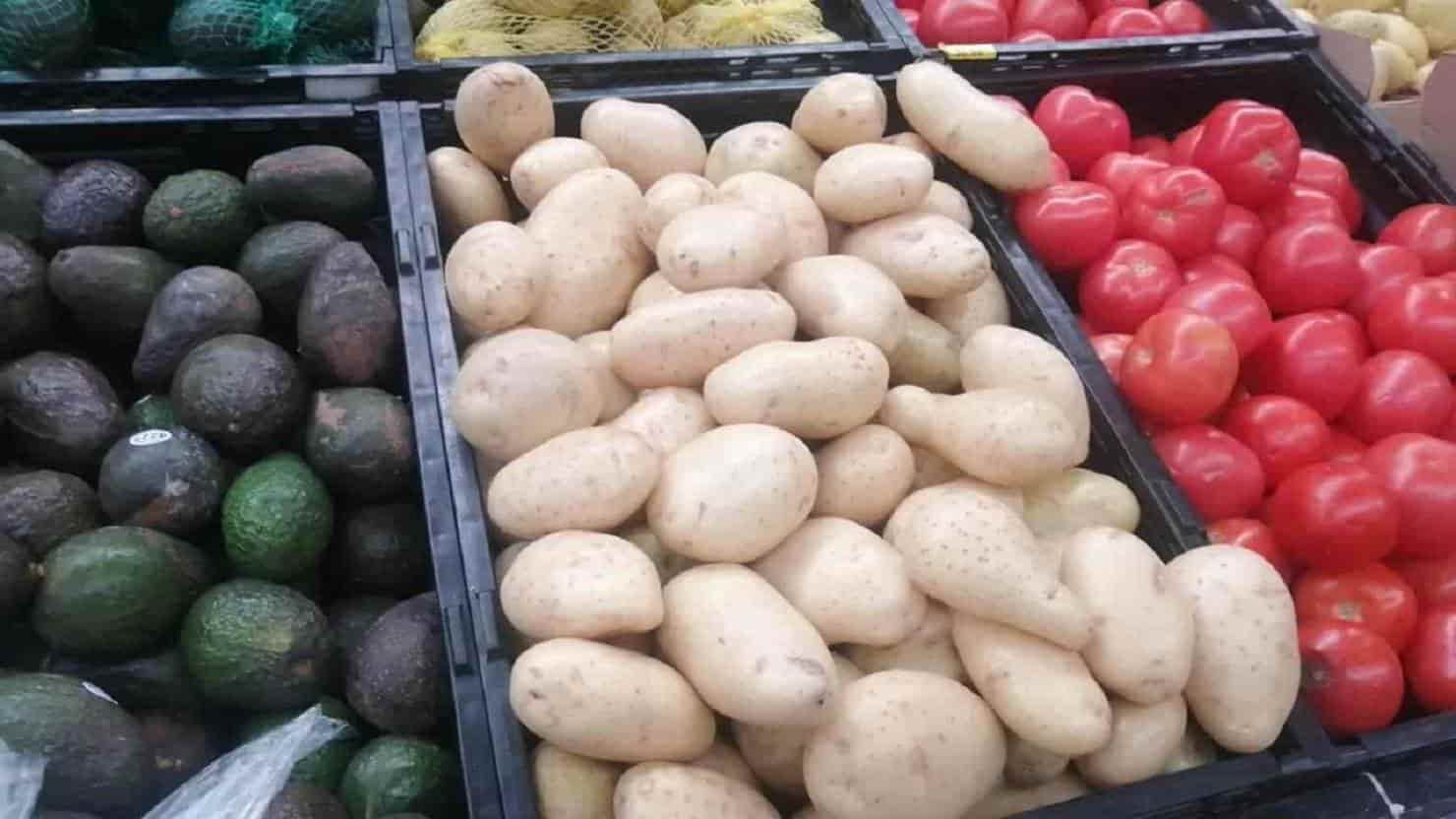 FOTO: Temática.