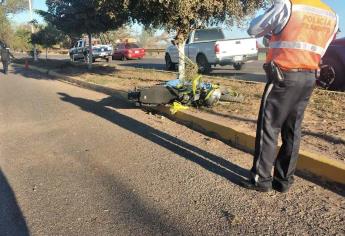Motociclista muere tras impactar contra un árbol en la carretera Culiacán-Navolato