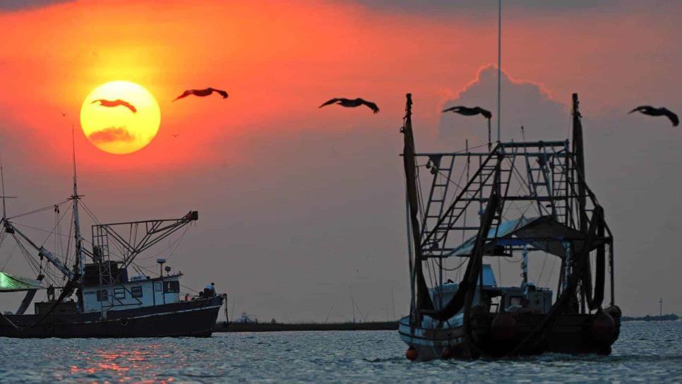 México combate incursión ilegal de barcos en área de pesca estadounidense
