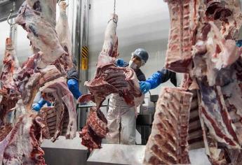 Rastros clandestinos en Mazatlán, en la mira del Ayuntamiento