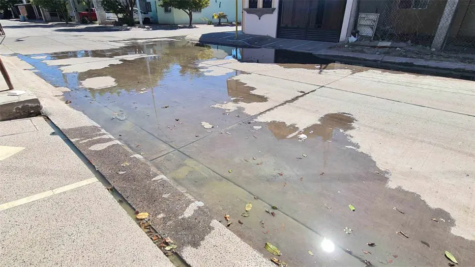 FOTO: Juan Pablo Llanes.