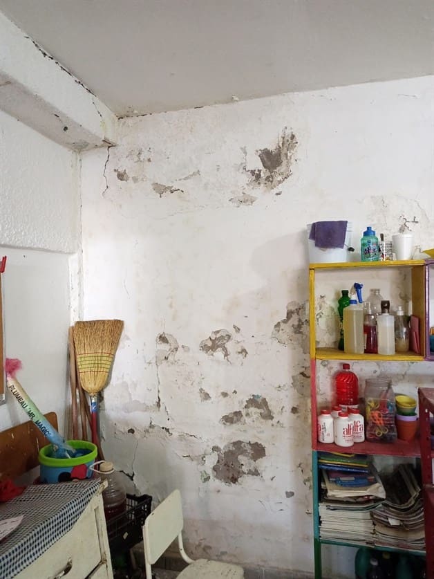 Imagen Placeholder Imagen Placeholder