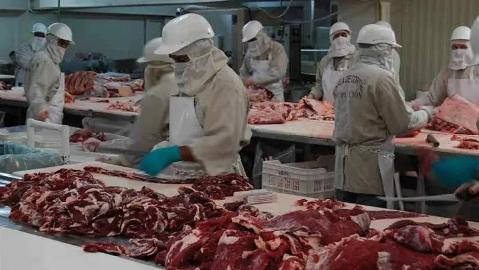 FOTO: Alicia González.