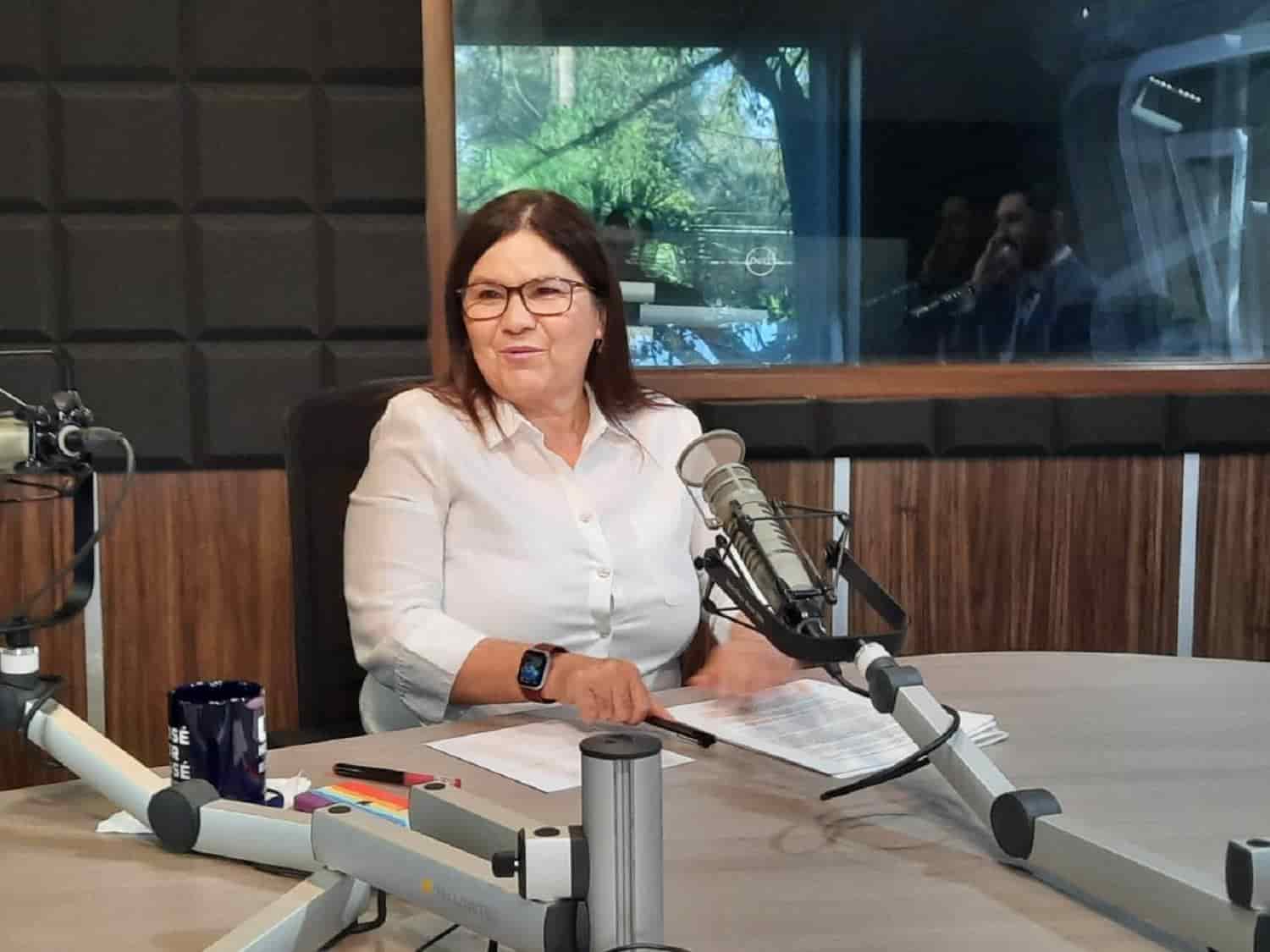 Tarifas van a bajar con Reforma Eléctrica: Imelda Castro