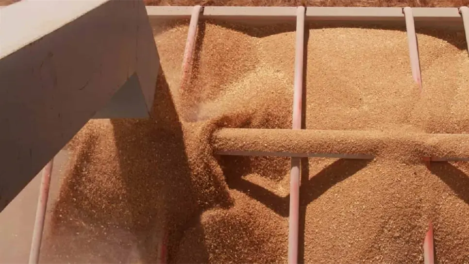 Se evitarán fraudes con la Ley de Acopio de Granos para Sinaloa