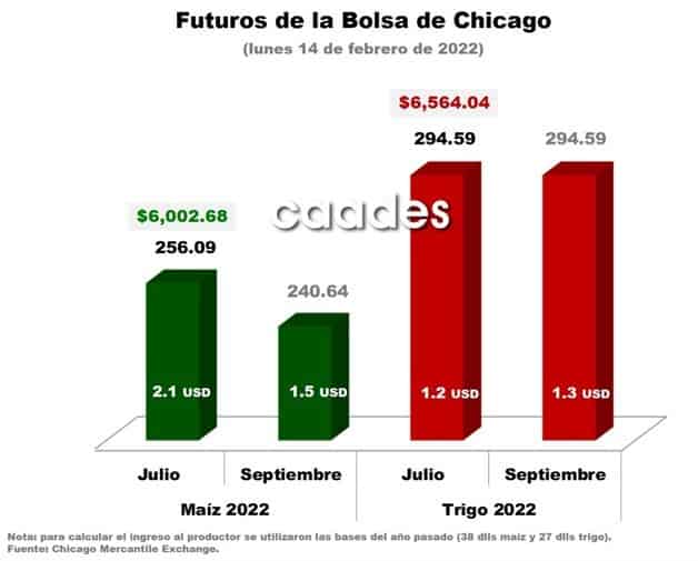 Imagen Placeholder
