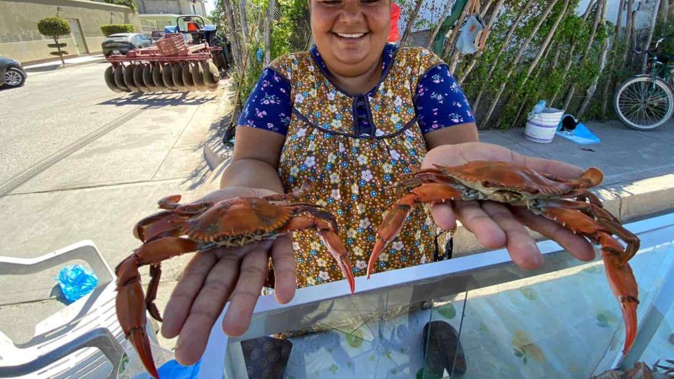 La jaiba más rica de Sinaloa la tiene «Doña Paloma» en Escuinapa La jaiba más rica de Sinaloa la tiene «Doña Paloma» en Escuinapa
