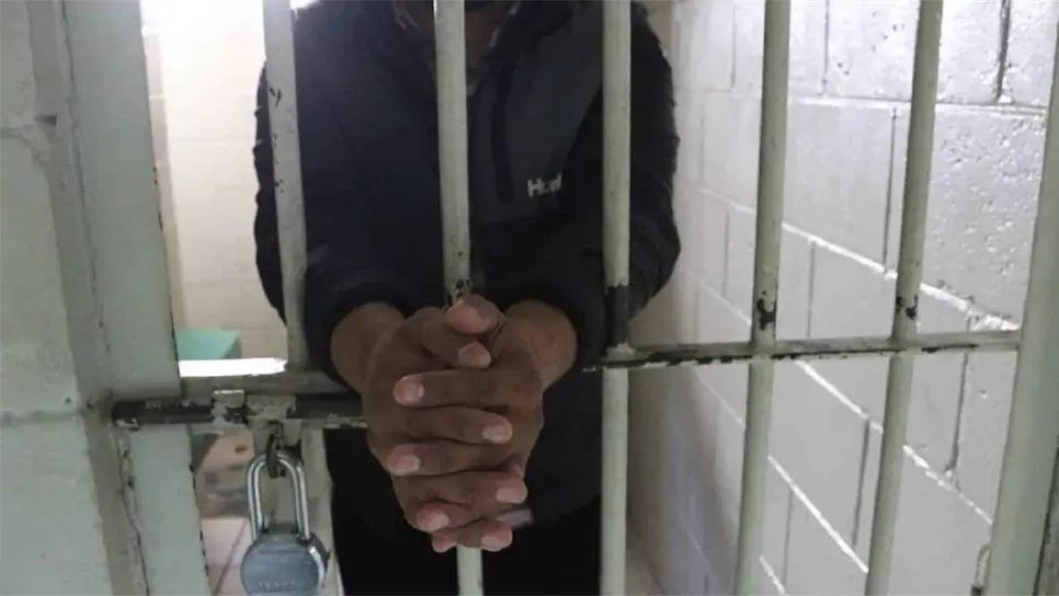 FOTO: Temática | Ángel Zamudio.