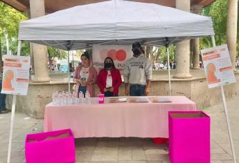 Menstruación y pobreza, problema de salud pública