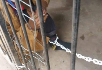 Encadenan a adulto mayor en colonia Toledo Corro, en Los Mochis