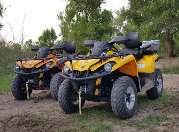 Imagen Placeholder Imagen Placeholder