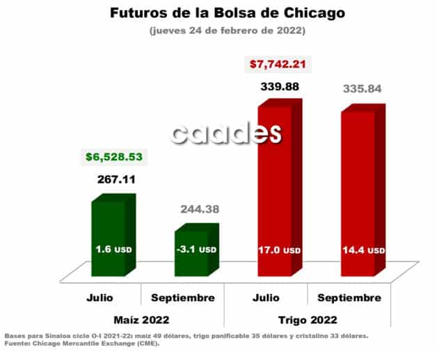 Imagen Placeholder Imagen Placeholder