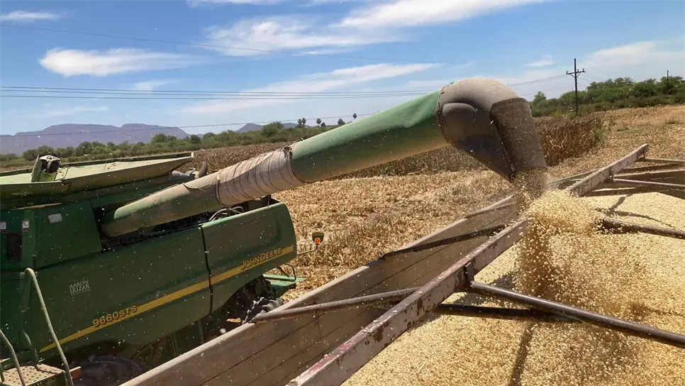 FOTO: Luz Noticias | Archivo.