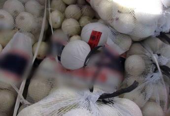 Hallan millonario cargamento de metanfetamina camuflado entre cebollas