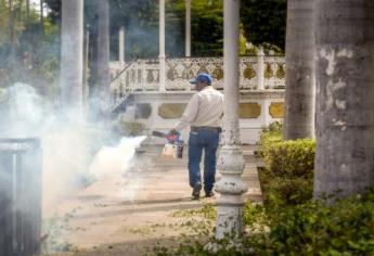 Buscan eliminar plaga de jejenes en El Fuerte