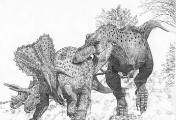 El Tyrannosaurus rex no sería el único de su especie