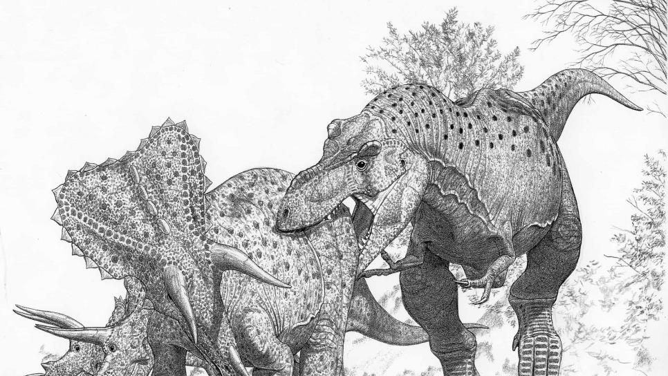 El Tyrannosaurus rex no sería el único de su especie