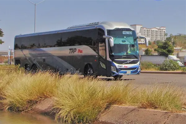 Mujer se baja de autobús y se desvanece, fallece en la sala de espera Mujer se baja de autobús y se desvanece, fallece en la sala de espera