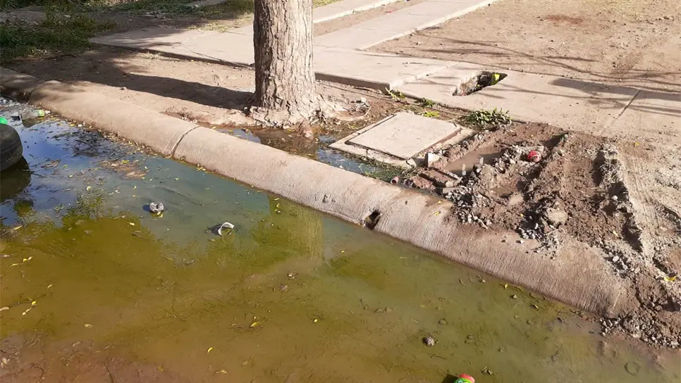 Vecinos de Urbi Villa del Rey exigen a JAPAMA reparen drenaje colapsado