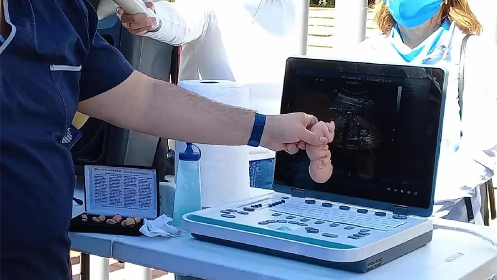 Van 6 abortos legales en Sinaloa: Salud