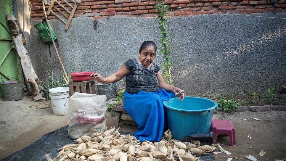 Las campesinas mexicanas aportan el 50 % de la producción de alimentos