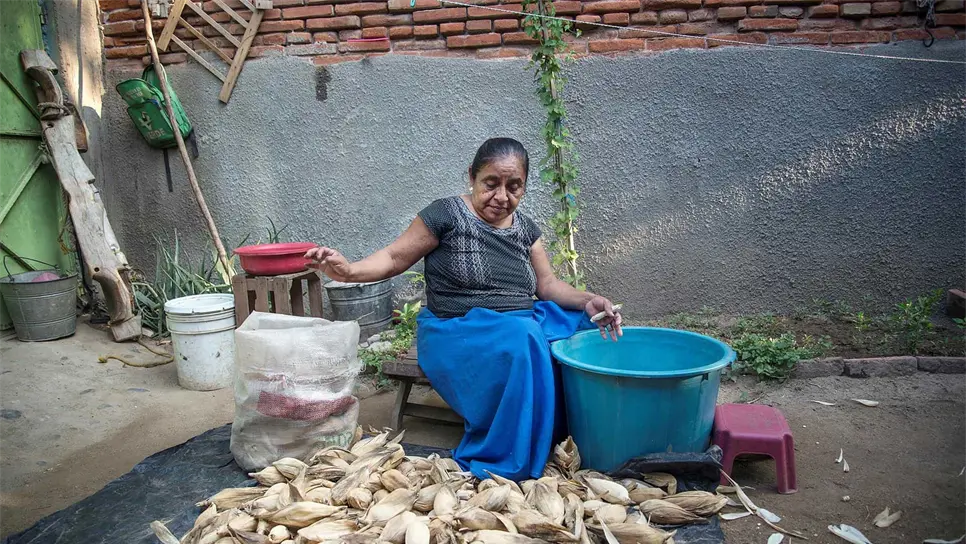 Las campesinas mexicanas aportan el 50 % de la producción de alimentos