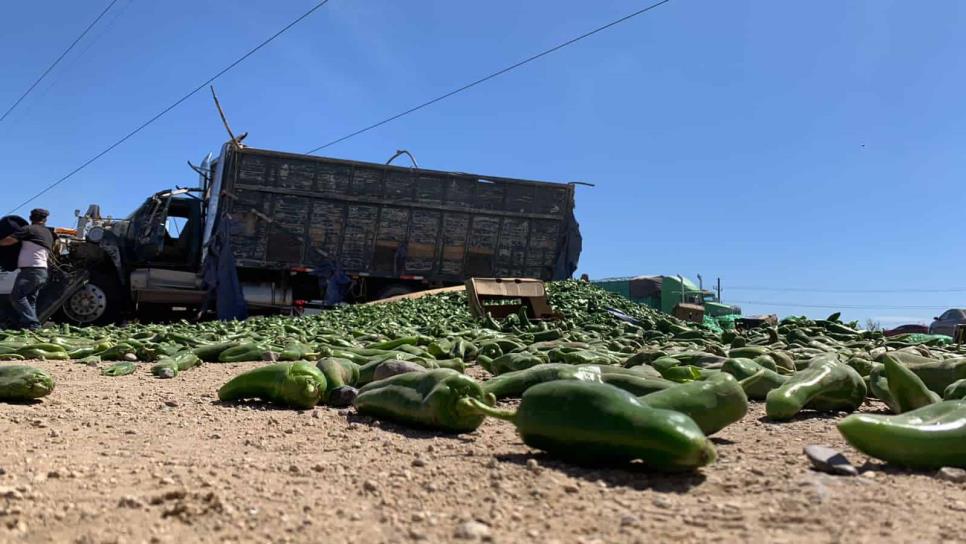 Vuelca torton con 8 toneladas de chiles en la entrada de la carretera La 19