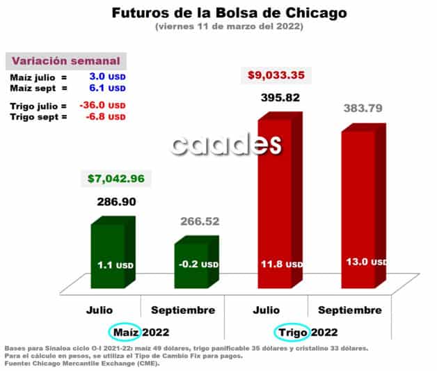 Imagen Placeholder
