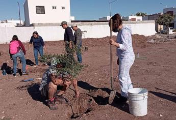 ¡Hartos de los robos! Vecinos de Residencial Paseo de la Reina se organizan contra ladrones