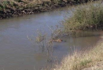 Localizan el cadáver de un hombre flotando en un canal en La Escalera