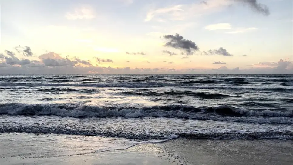 FOTO: Luz Noticias | Temática.