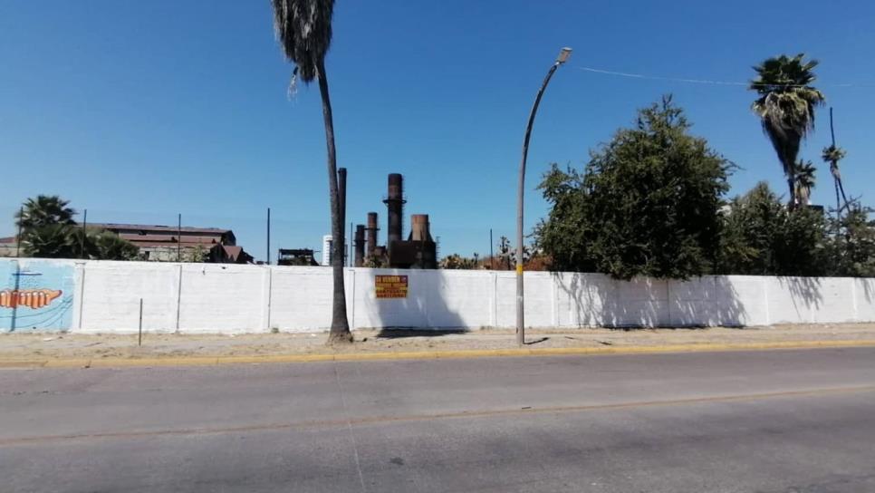 Ponen a la venta terrenos del Ingenio Azucarero de Los Mochis