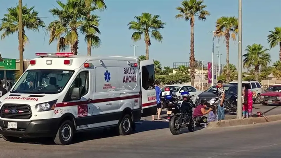 FOTO: Luz Noticias | Temática.