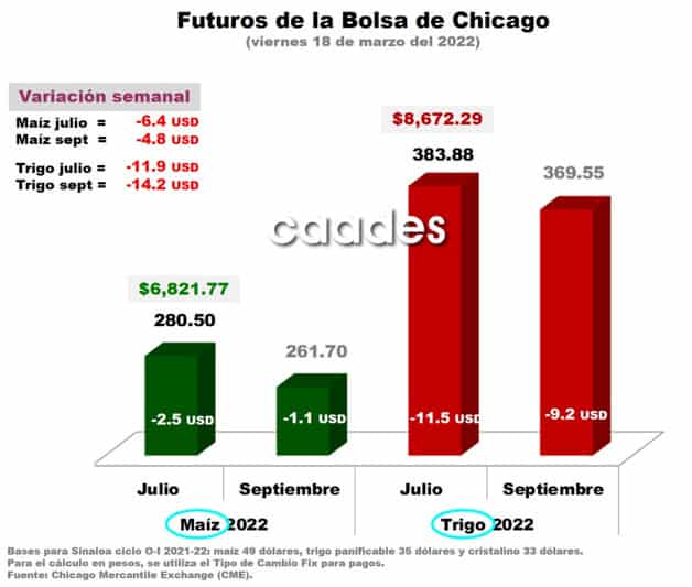 Imagen Placeholder