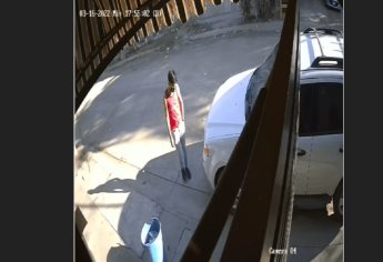 «Ladroncito» tiene en jaque a vecinos de La Foresta