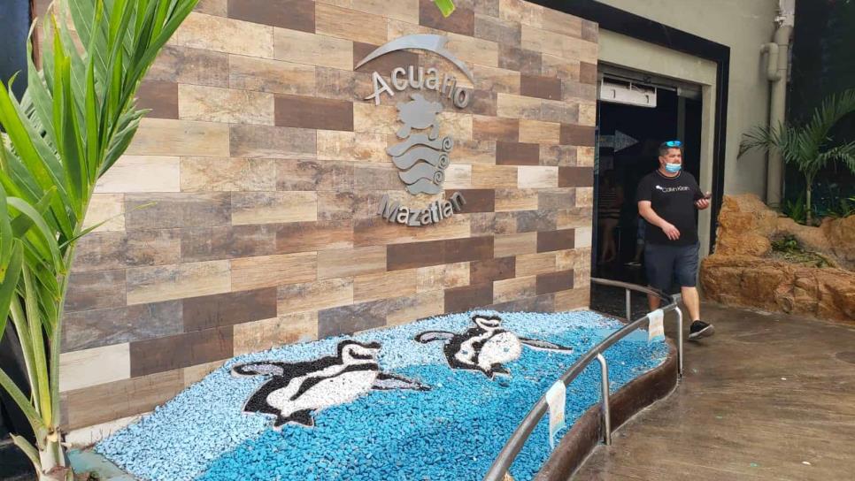 Pese a próximo cierre de Acuario Mazatlán, Pingüinario seguirá abierto al público