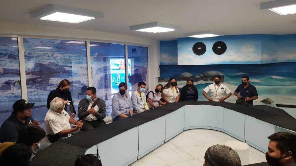 El Pingüinario de Acuario Mazatlán sigue y seguirá abierto