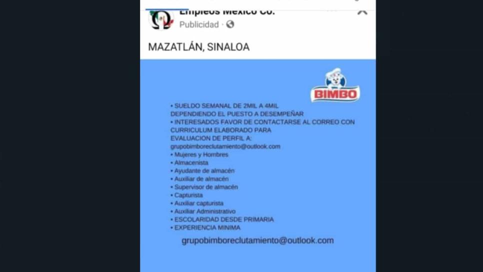 Ofrecen empleo en Bimbo y te estafan: conoce cómo funcionan