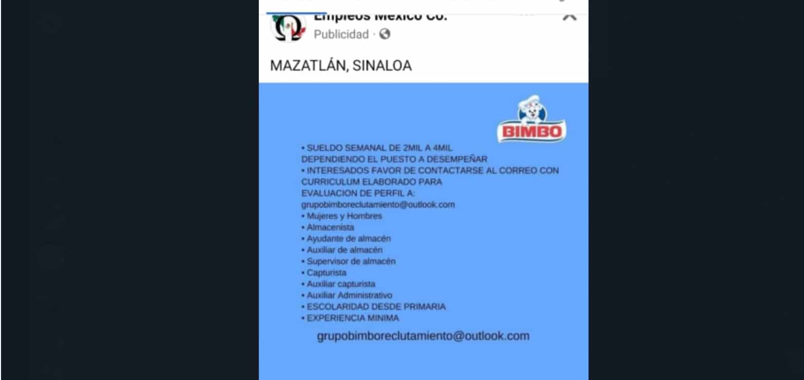 Ofrecen empleo en Bimbo y te estafan: conoce cómo funcionan