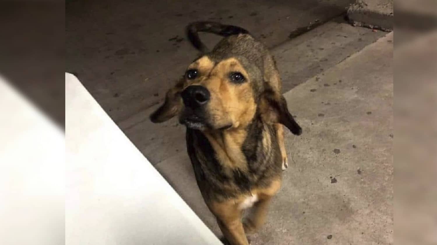 Realizarán homenaje luctuoso por primer aniversario a Rodolfo Corazón