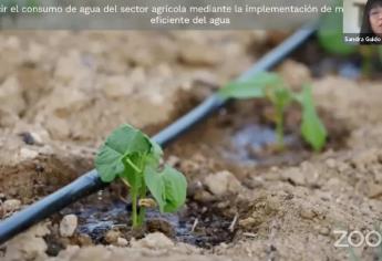 Jumapam y Conselva van por la preservación de los mantos acuíferos y cuidado del agua