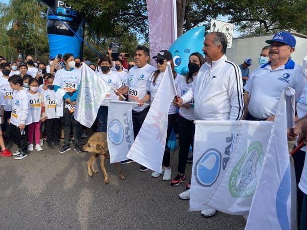 Imagen Placeholder Imagen Placeholder