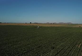 Drones, tecnología militar aplicada a la agricultura