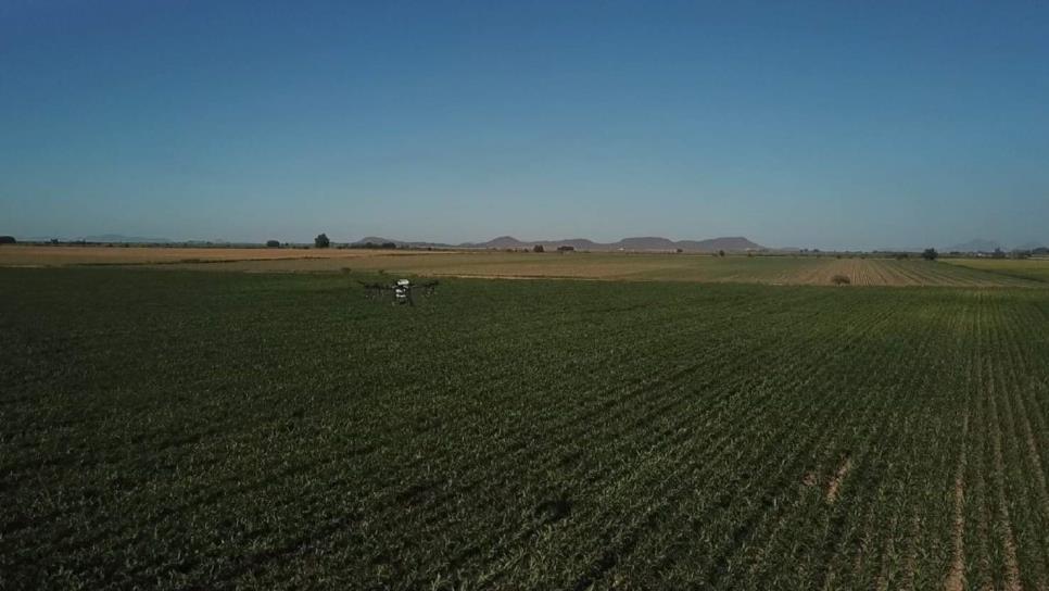 Drones, tecnología militar aplicada a la agricultura