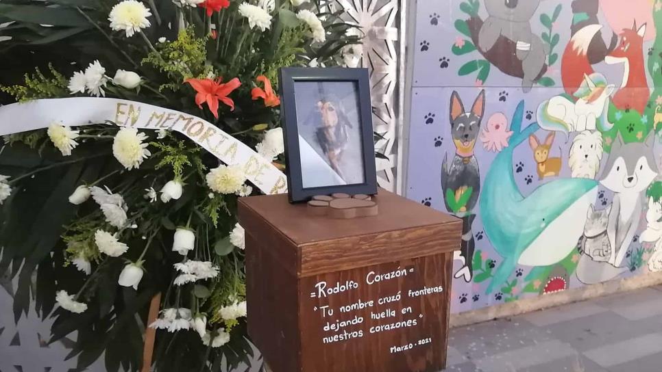 Realizan homenaje a un año de la muerte del perro Rodolfo Corazón