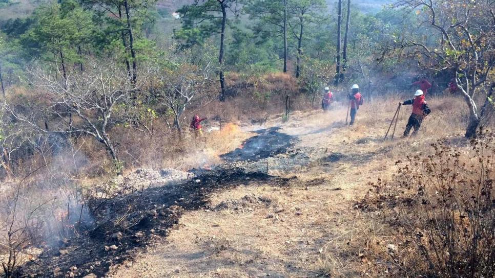 Sinaloa registra 7 incendios forestales provocados por la sequía