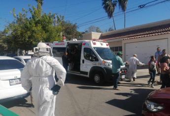 Enjambre ataca a vecinos de la colonia Salvador Alvarado, en Culiacán