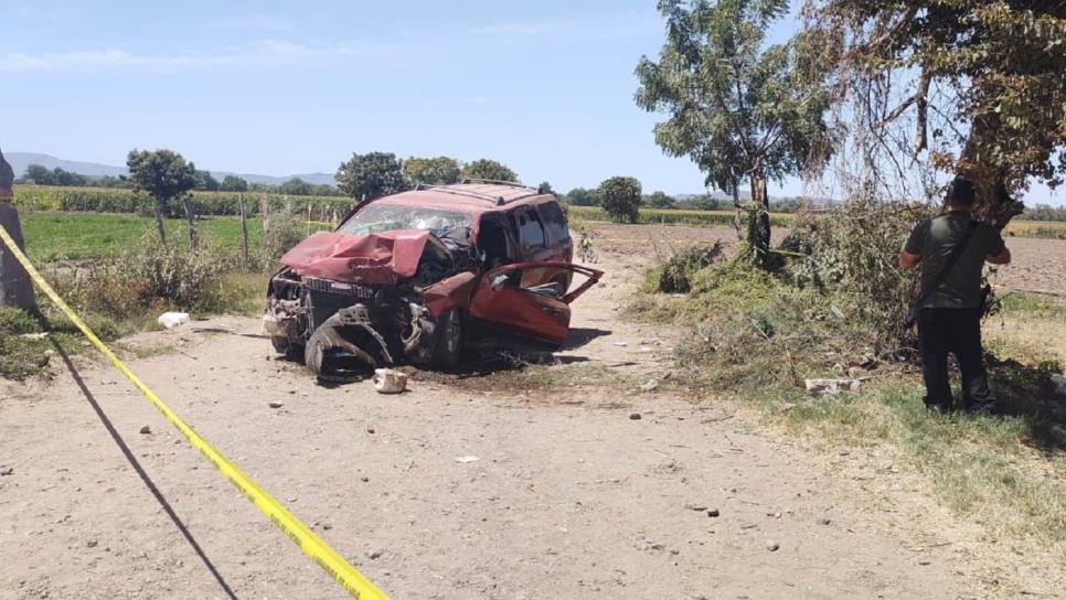 Muere joven de 15 años tras chocar contra un árbol en La Constancia