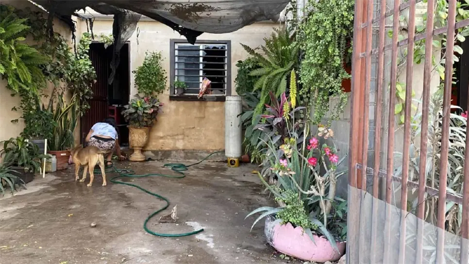 FOTO: Ángel Zamudio.