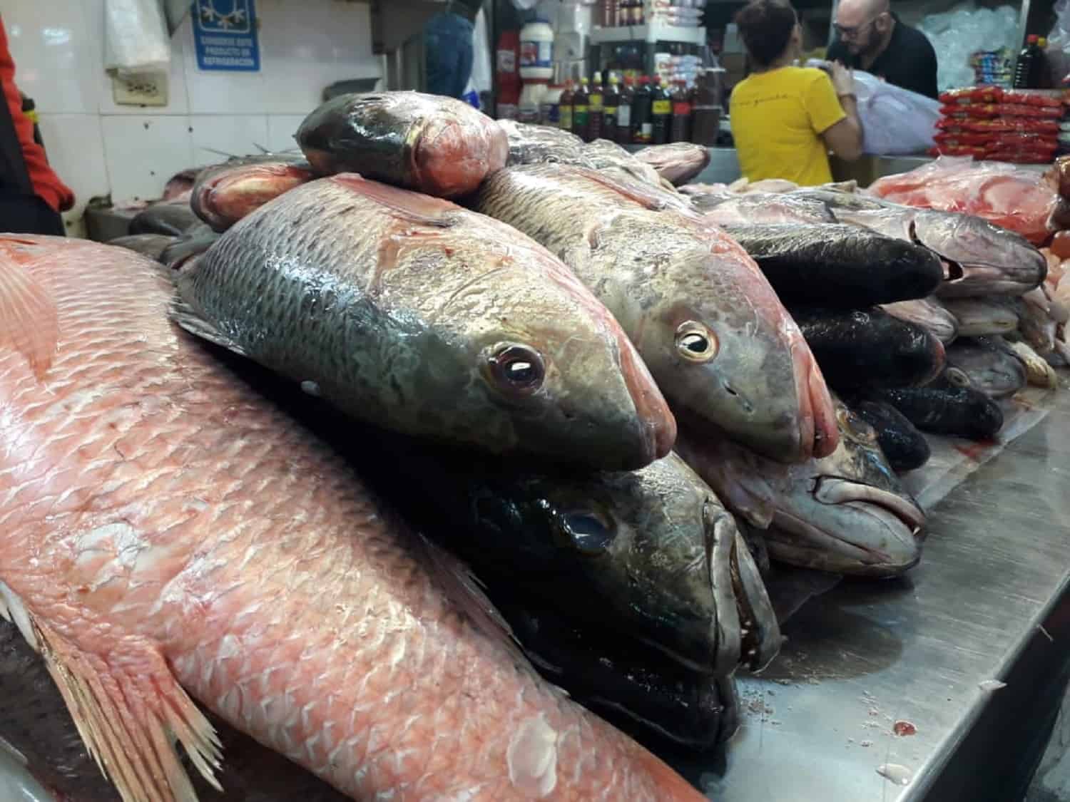 ¡Abusado! No compres pescado con ojos opacos o escamas flojas